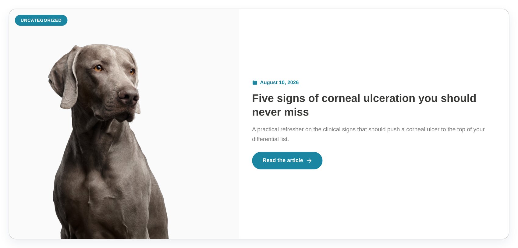 Image beside the text