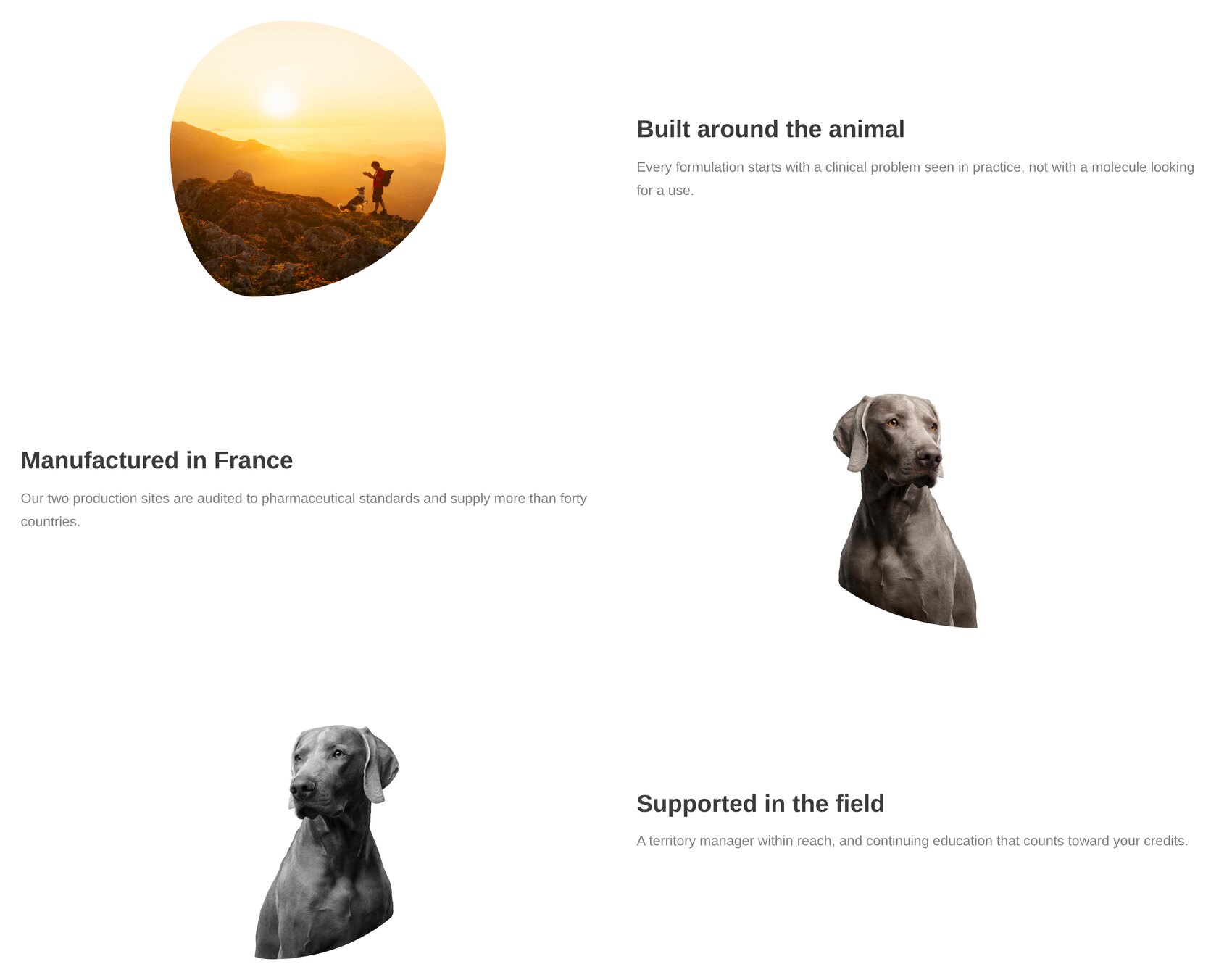 Pebbles rows alternating image and text