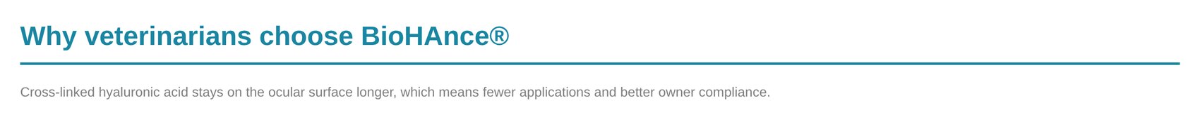Section title with divider and paragraph