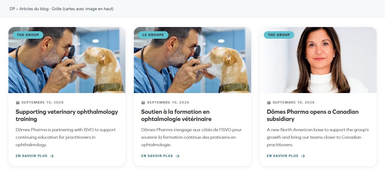 DP – Articles du blog — Grille (cartes avec image en haut)