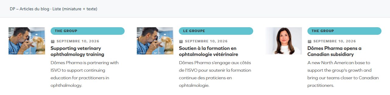 DP – Articles du blog — Liste (miniature + texte)