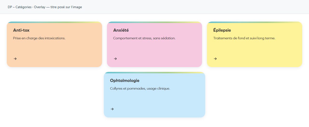 DP – Catégories — Overlay — titre posé sur l’image