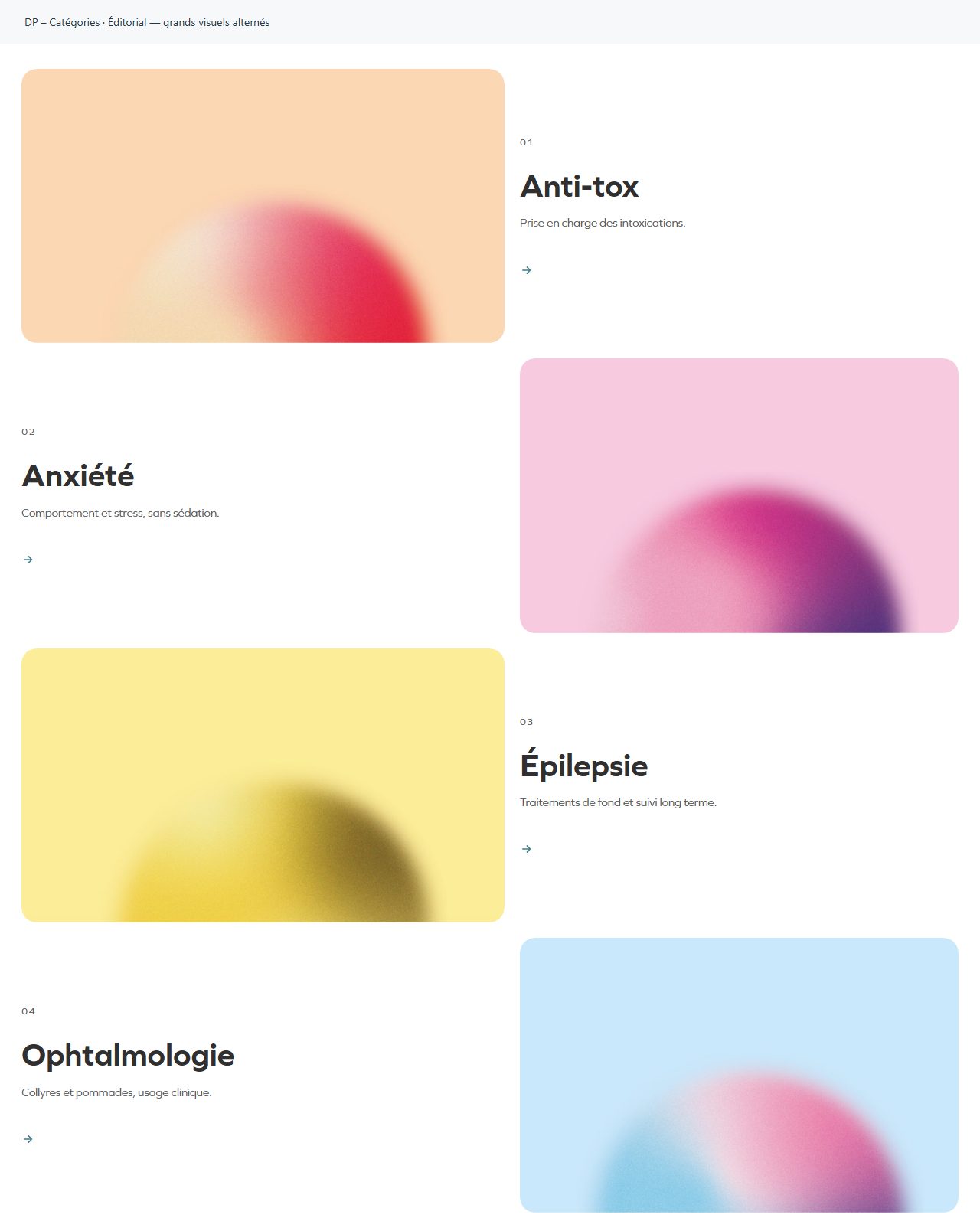 DP – Catégories — Éditorial — grands visuels alternés