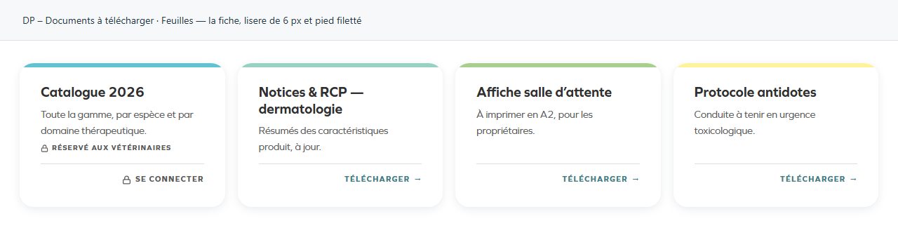 DP – Documents à télécharger — Feuilles — la fiche, lisere de 6 px et pied filetté