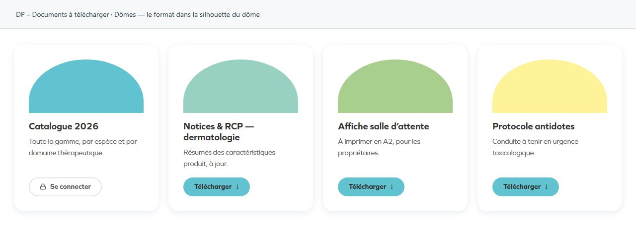 DP – Documents à télécharger — Dômes — le format dans la silhouette du dôme