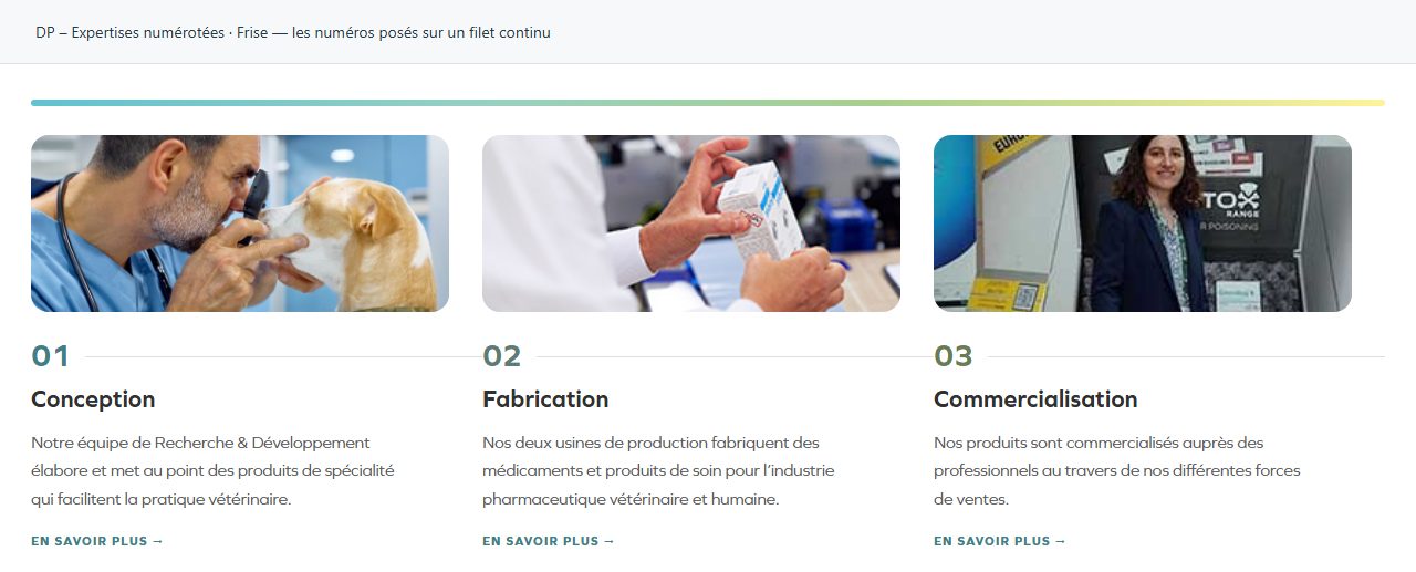 DP – Expertises numérotées — Frise — les numéros posés sur un filet continu