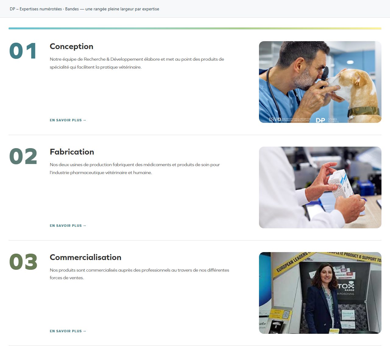 DP – Expertises numérotées — Bandes — une rangée pleine largeur par expertise
