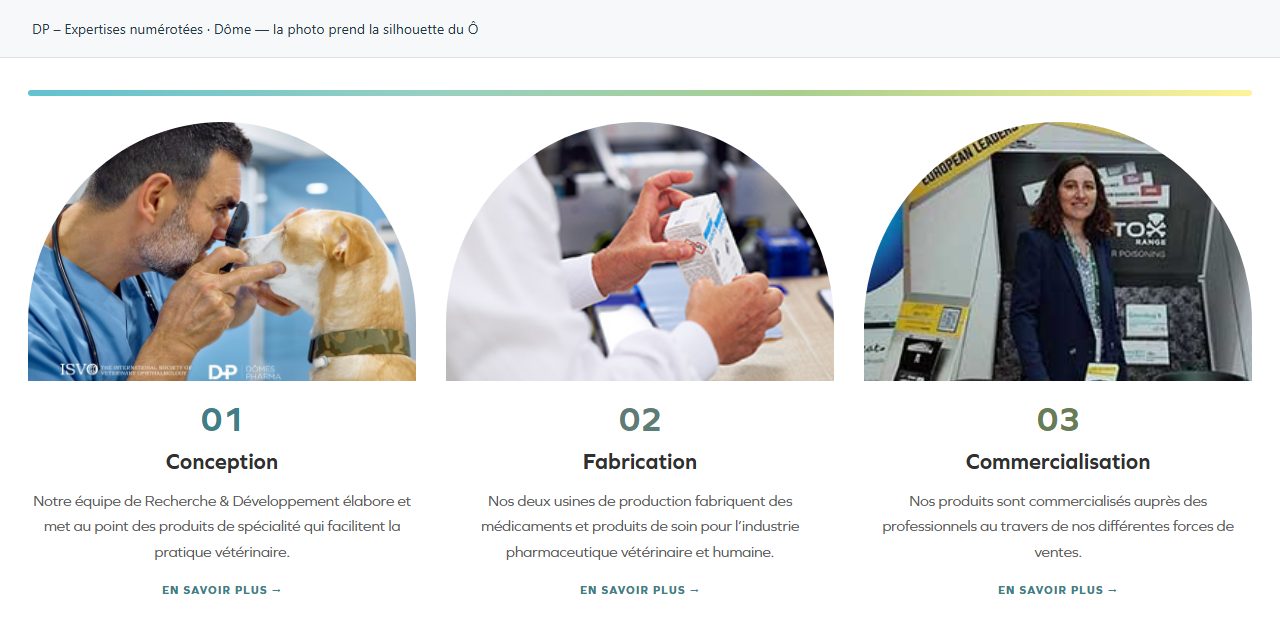 DP – Expertises numérotées — Dôme — la photo prend la silhouette du Ô