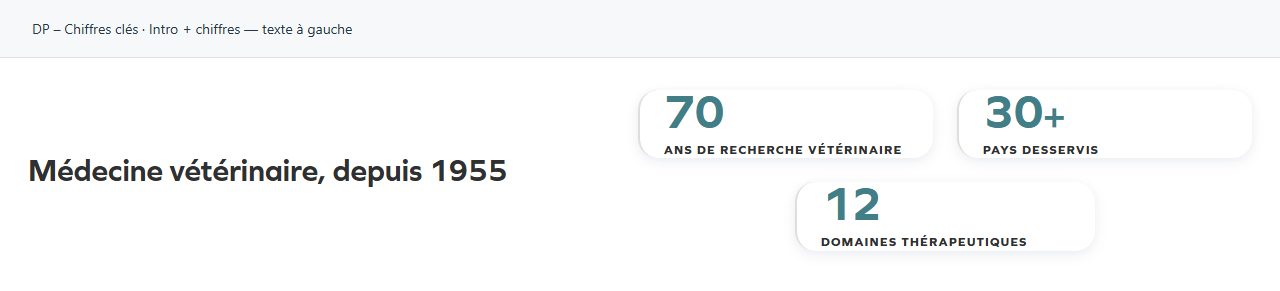 DP – Chiffres clés — Intro + chiffres — texte à gauche