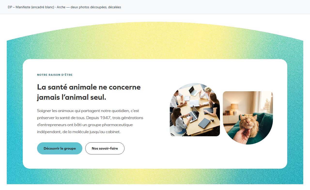 DP – Manifeste (encadré blanc) — Arche — deux photos découpées, décalées