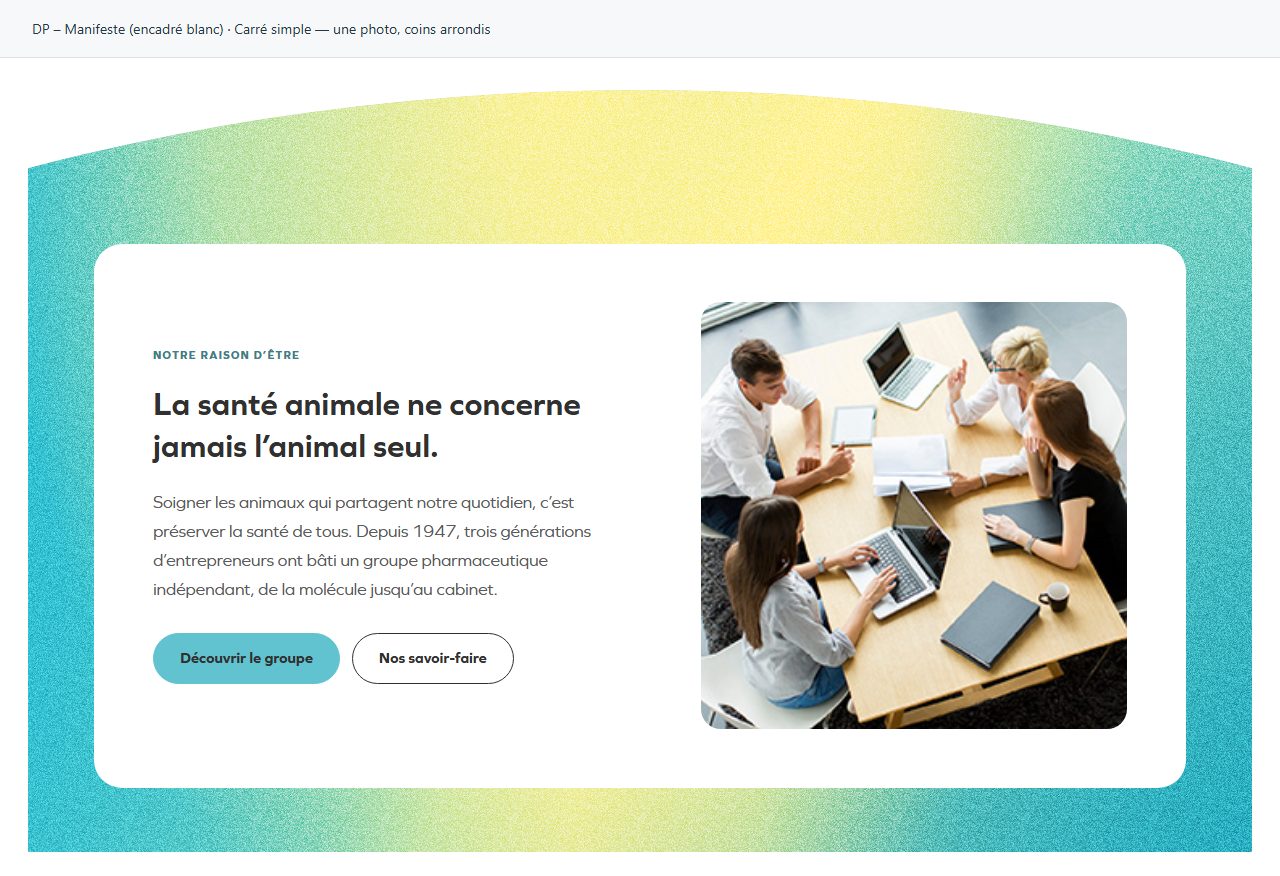DP – Manifeste (encadré blanc) — Carré simple — une photo, coins arrondis