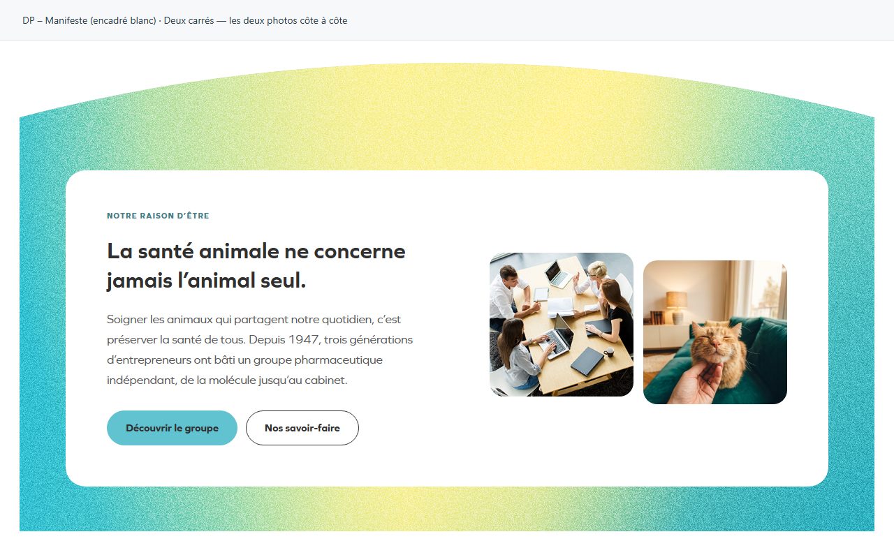 DP – Manifeste (encadré blanc) — Deux carrés — les deux photos côte à côte