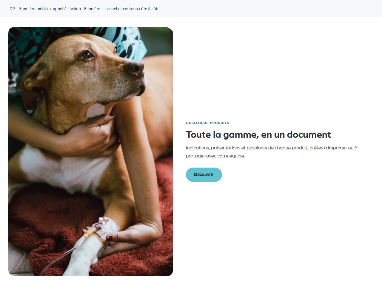 DP – Bannière média + appel à l’action — Bannière — visuel et contenu côte à côte