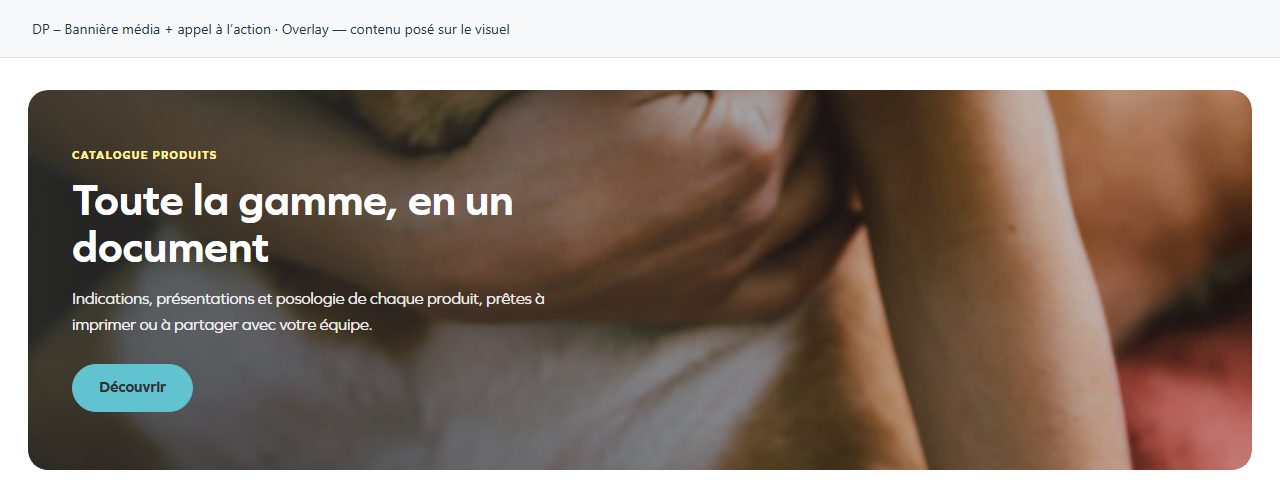 DP – Bannière média + appel à l’action — Overlay — contenu posé sur le visuel