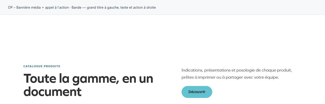 DP – Bannière média + appel à l’action — Bande — grand titre à gauche, texte et action à droite