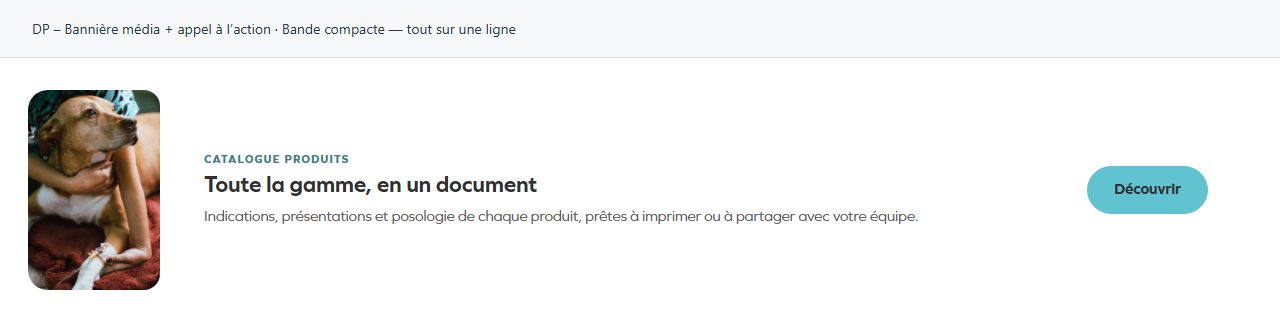 DP – Bannière média + appel à l’action — Bande compacte — tout sur une ligne