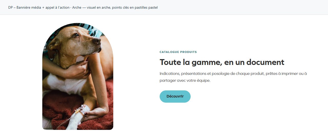 DP – Bannière média + appel à l’action — Arche — visuel en arche, points clés en pastilles pastel