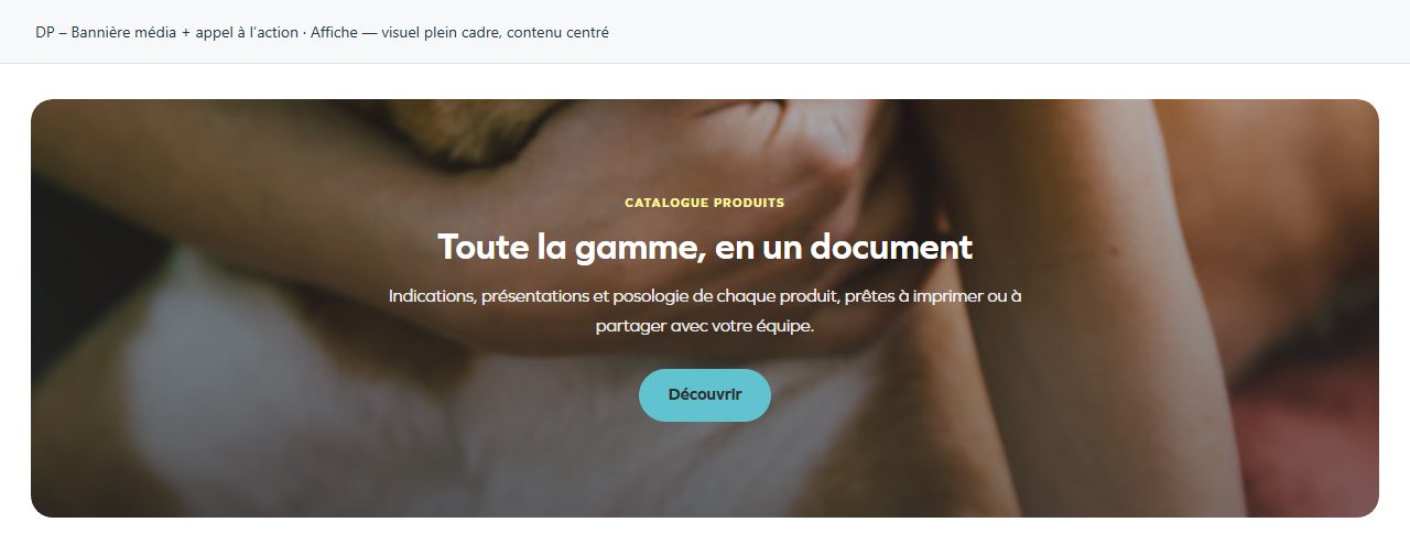 DP – Bannière média + appel à l’action — Affiche — visuel plein cadre, contenu centré