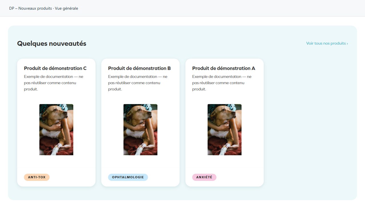 DP – Nouveaux produits — Overall view