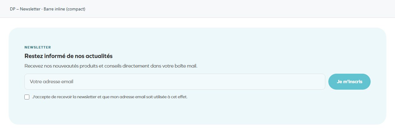 DP – Newsletter — Barre inline (compact)