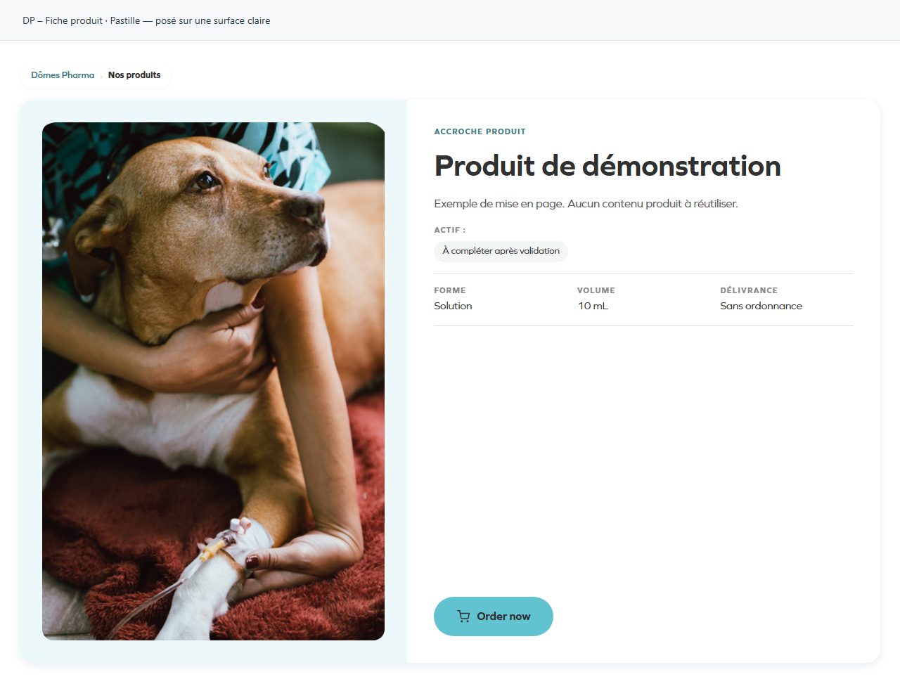 DP – Fiche produit — Pastille — posé sur une surface claire
