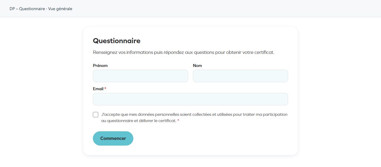 DP – Questionnaire — Overall view