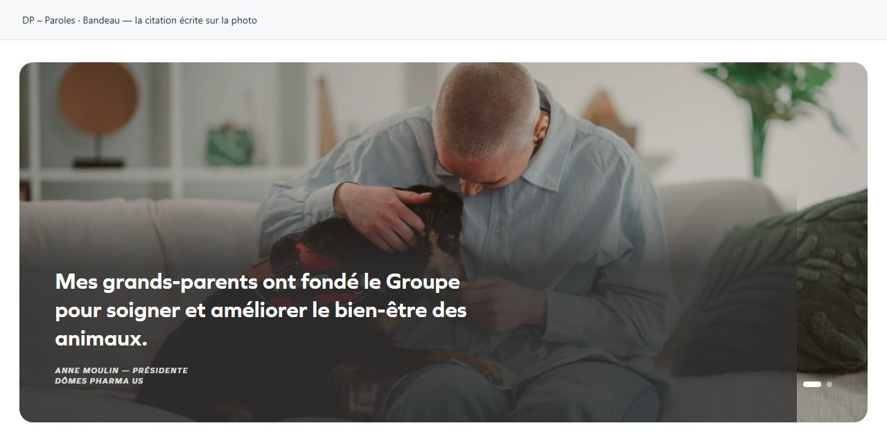 DP – Paroles — Bandeau — la citation écrite sur la photo