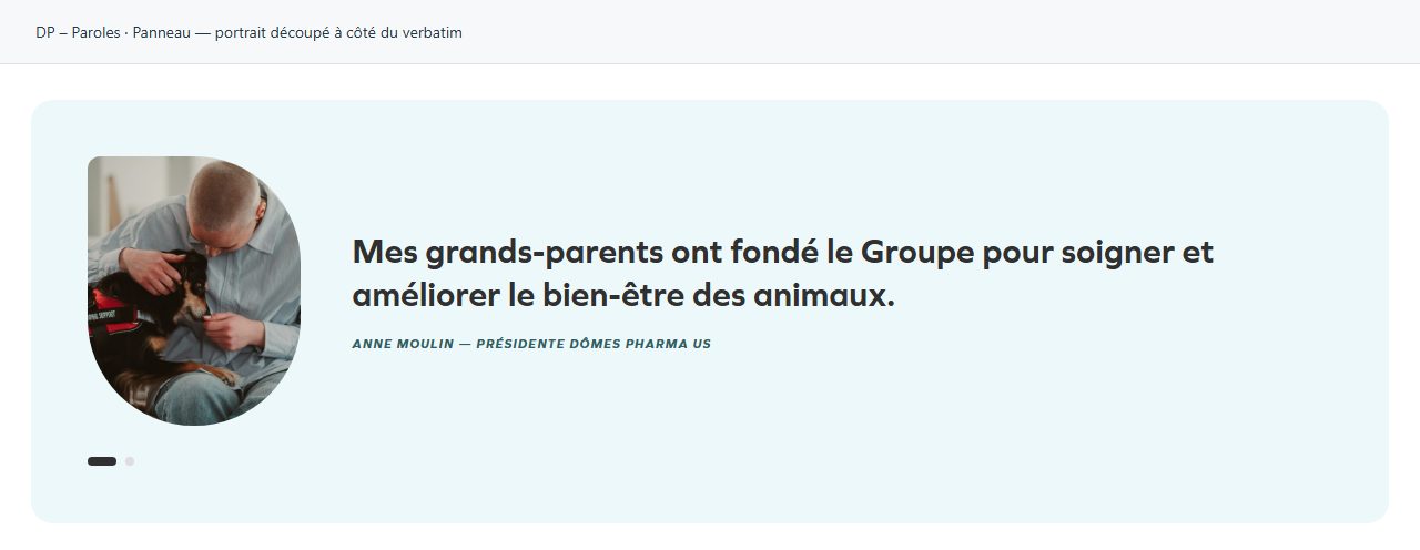 DP – Paroles — Panneau — portrait découpé à côté du verbatim