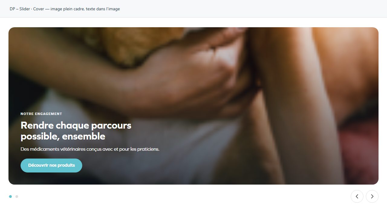 DP – Slider — Cover — image plein cadre, texte dans l’image