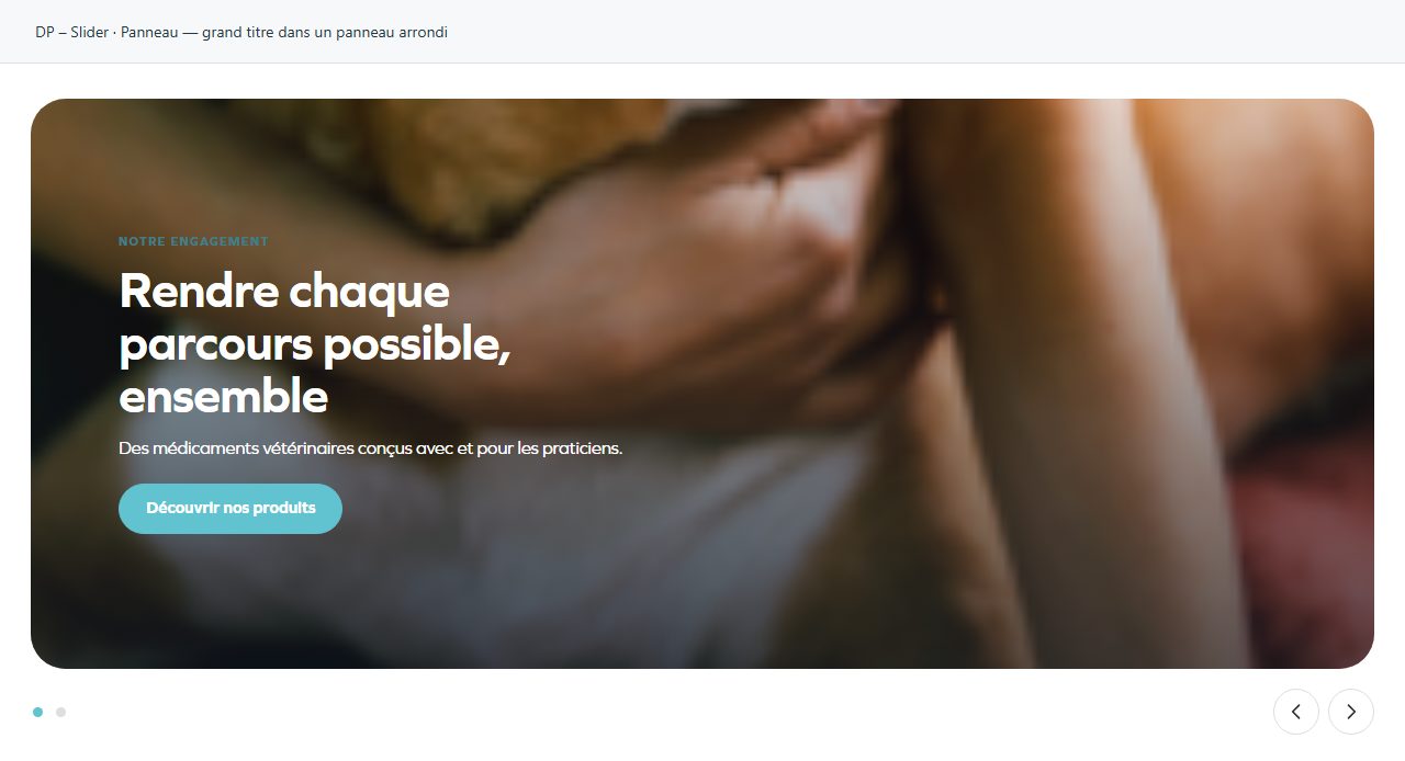 DP – Slider — Panneau — grand titre dans un panneau arrondi